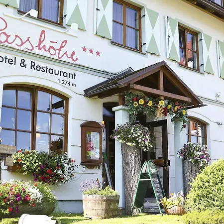 Passhohe 호텔 3*